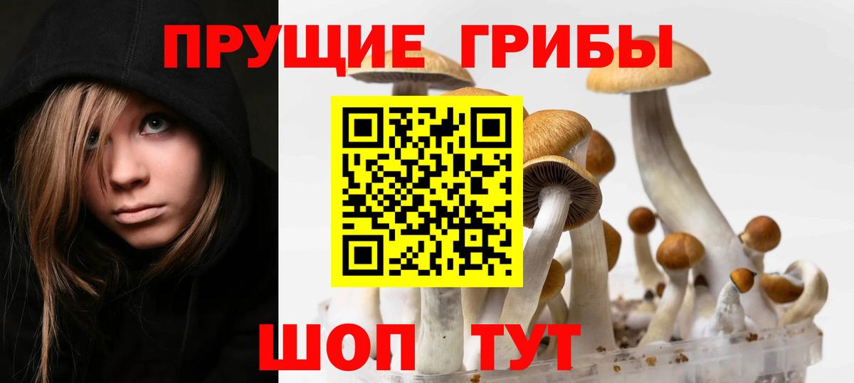 Галлюциногенные грибы Psilocybe  Псилоцибиновые грибы GOLDEN TEACHER  купить наркоту  Вход с VPN  Сухой Лог 